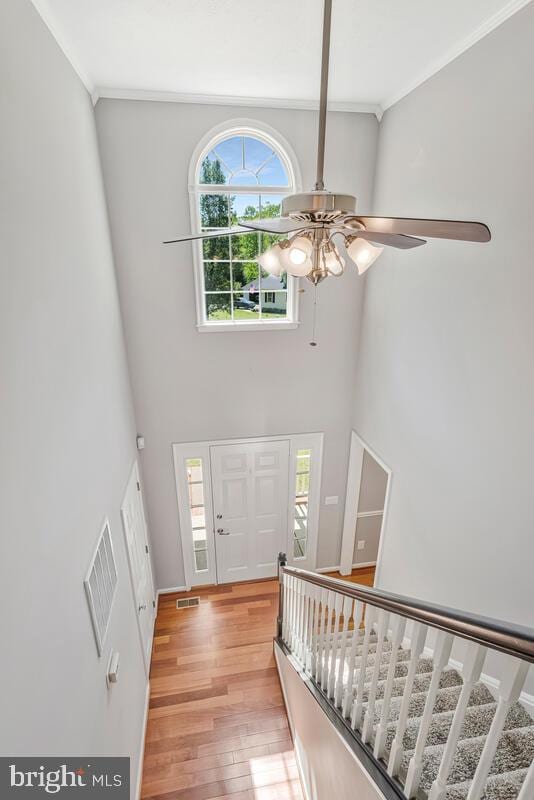 entryway with ornamental molding, ceiling fan, light wood-style flooring, and a towering ceiling