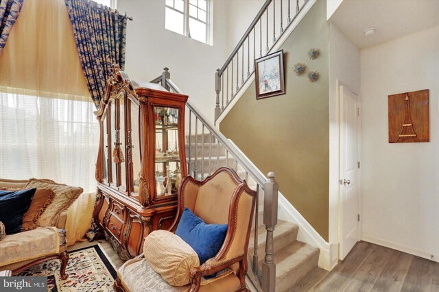 18010 Dave Anne Cir, Stewartstown, PA 17363 - stairs featuring wood finished floors, baseboards, and a high ceiling