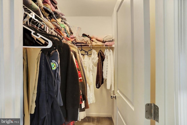 18010 Dave Anne Cir, Stewartstown, PA 17363 - walk in closet featuring carpet floors