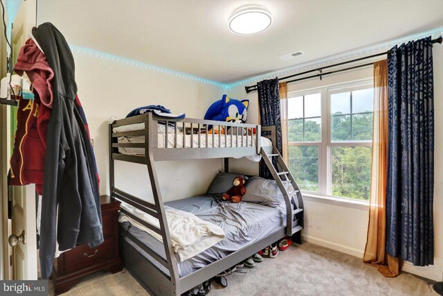 18010 Dave Anne Cir, Stewartstown, PA 17363 - carpeted bedroom with baseboards