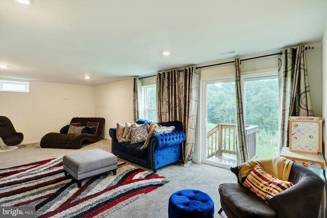 18010 Dave Anne Cir, Stewartstown, PA 17363 - living area with carpet flooring and recessed lighting