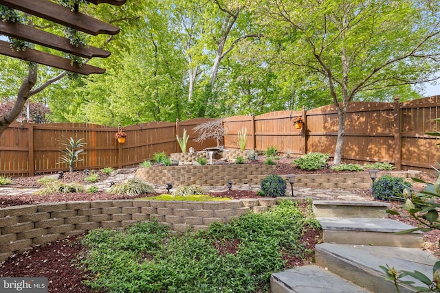 view of yard with a fenced backyard