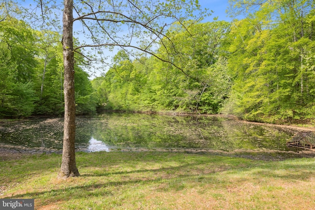 water view with a view of trees