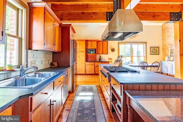 kitchen featuring light wood-style flooring, plenty of natural light, stainless steel appliances, extractor fan, and a sink