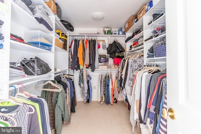walk in closet featuring carpet flooring