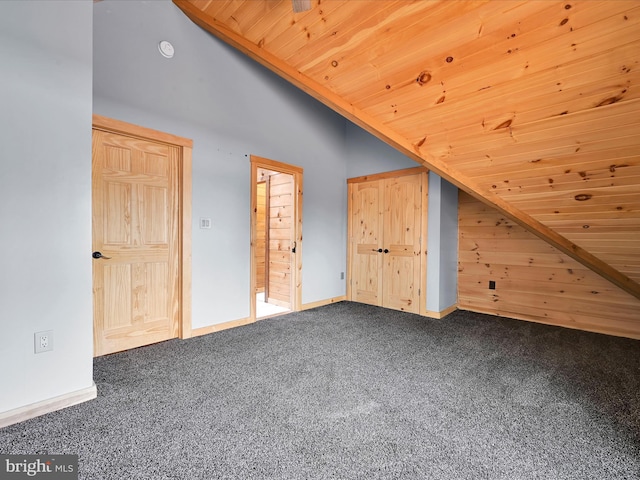 1918 Friedensburg Rd, Reading, PA 19606 - additional living space featuring vaulted ceiling, wooden ceiling, and carpet flooring