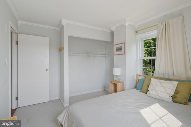 9060 Moonshine Holw Unit G, Laurel, MD 20723 - bedroom featuring ornamental molding, a closet, and carpet flooring