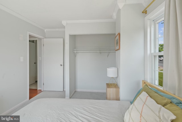 9060 Moonshine Holw Unit G, Laurel, MD 20723 - bedroom with ornamental molding, a closet, and baseboards