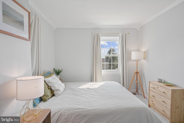 9060 Moonshine Holw Unit G, Laurel, MD 20723 - bedroom with ornamental molding