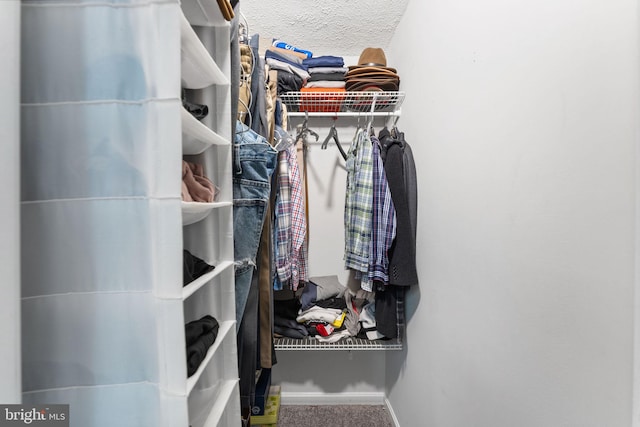 walk in closet with carpet