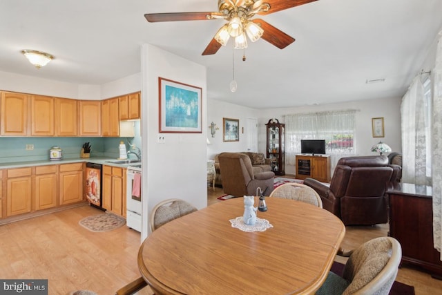 dining room featuring wine cooler, visible vents, a ceiling fan, and light wood-style floors