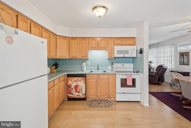 kitchen featuring a sink, light countertops, a ceiling fan, white appliances, and light wood finished floors