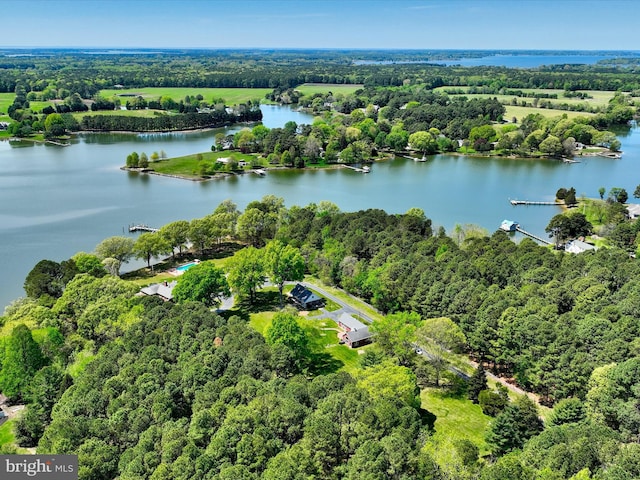 6976 Travelers Rest Cir, Easton, MD 21601 - birds eye view of property with a view of trees and a water view
