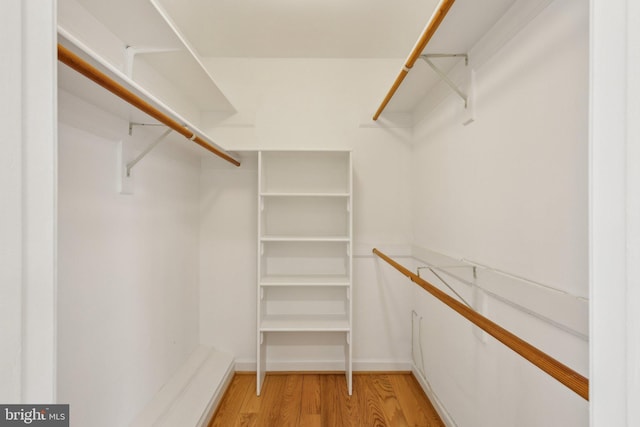 9313 Braymore Cir, Fairfax Station, VA 22039 - spacious closet with light wood-style flooring
