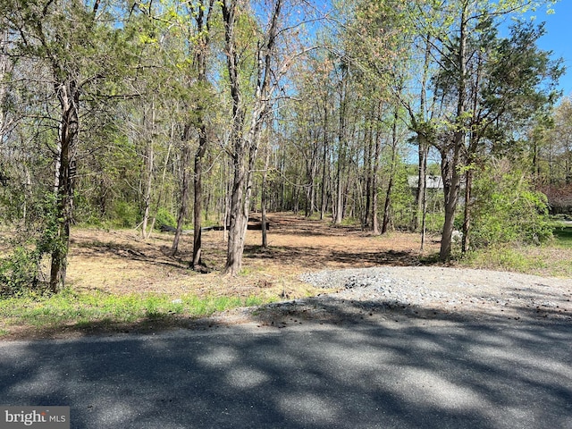 Historic Ln, Mineral, VA 23117