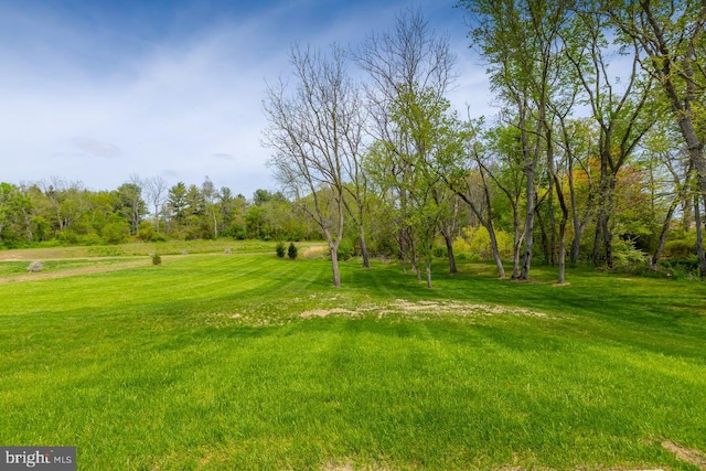 7 Nicole Cir, Pedricktown, NJ 08067 - view of yard