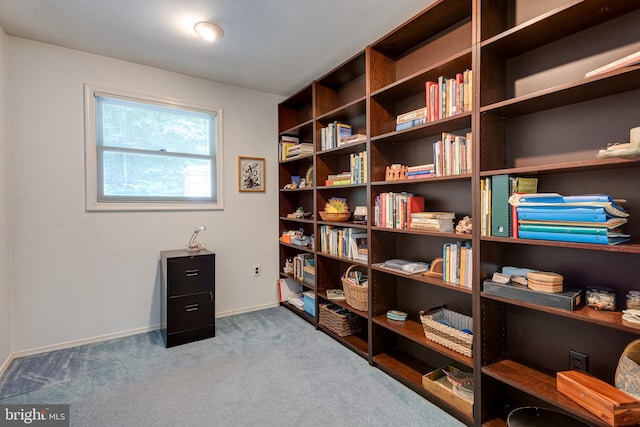 552 Brookwood Rd, Wayne, PA 19087 - sitting room featuring carpet and baseboards
