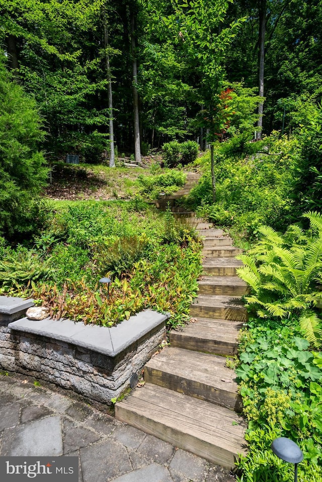 552 Brookwood Rd, Wayne, PA 19087 - view of yard with stairway