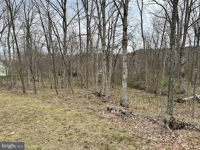 Timberlake Ests, New Creek, WV 26743