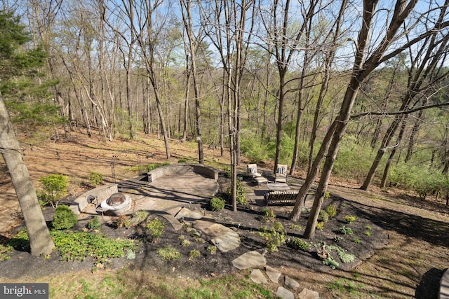 109 Aulee Ct, Winchester, VA 22602 - view of yard with a fire pit