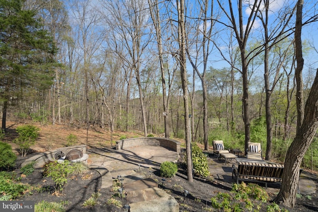 109 Aulee Ct, Winchester, VA 22602 - view of yard with a wooded view and a patio