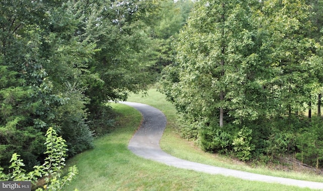 109 Aulee Ct, Winchester, VA 22602 - view of property's community featuring a yard