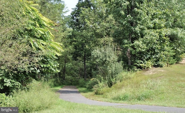 109 Aulee Ct, Winchester, VA 22602 - exterior space with a forest view