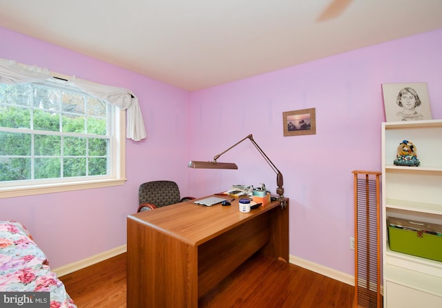 office area featuring baseboards and wood finished floors