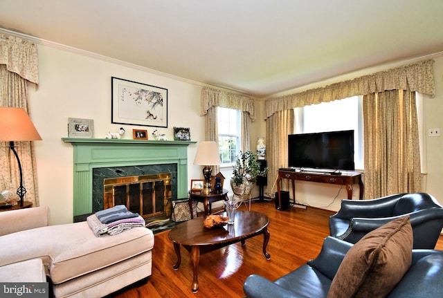 living room featuring ornamental molding, wood finished floors, and a premium fireplace