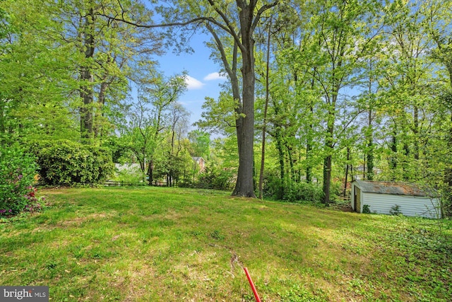 view of yard featuring an outbuilding
