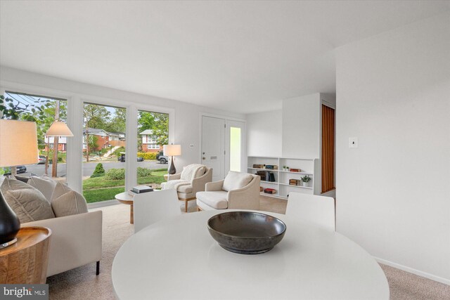 dining area featuring light colored carpet
