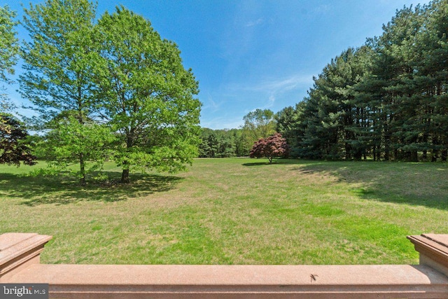 1113 Janice Ct, Joppa, MD 21085 - view of yard