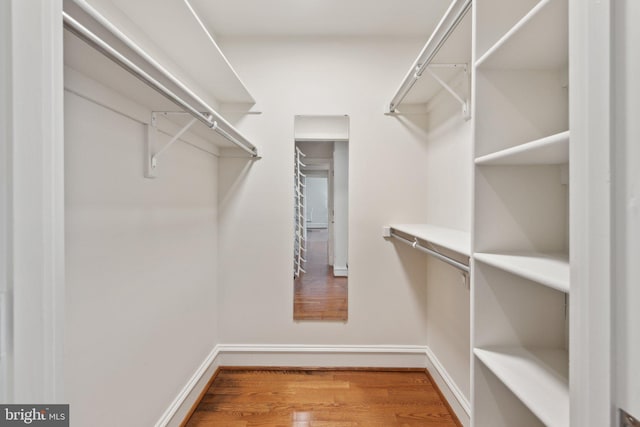 walk in closet with wood finished floors
