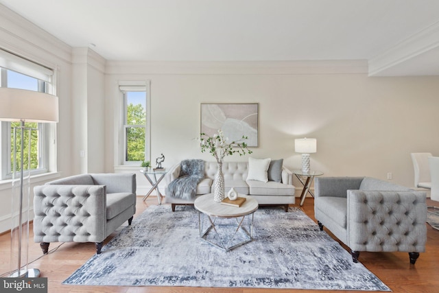living room featuring crown molding and wood finished floors