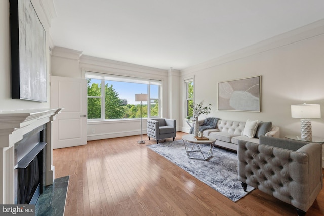 living room with ornamental molding, hardwood / wood-style flooring, and a premium fireplace