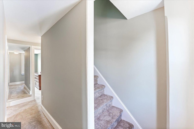 staircase featuring baseboards and carpet flooring