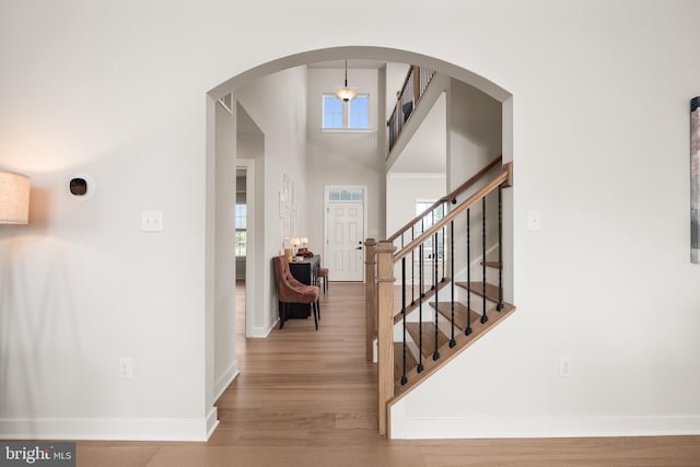 foyer entrance with baseboards, wood finished floors, and a wealth of natural light