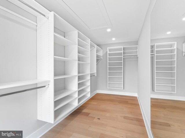 spacious closet featuring light wood finished floors