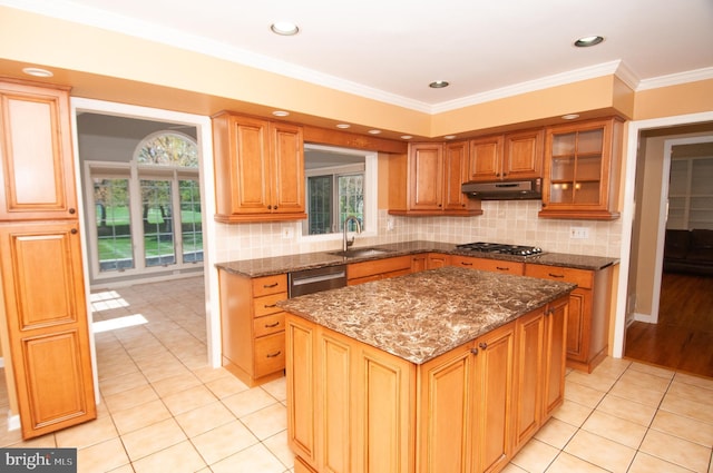 7 Briarwood Dr, Princeton Junction, NJ 08550 - kitchen with dark stone counters, under cabinet range hood, a sink, light tile patterned floors, and stainless steel appliances