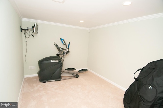 7 Briarwood Dr, Princeton Junction, NJ 08550 - workout room with crown molding, carpet flooring, and baseboards