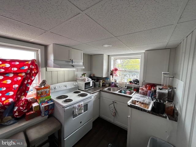 919 S Queen St, York, PA 17403 - kitchen featuring a drop ceiling, under cabinet range hood, a sink, and white appliances