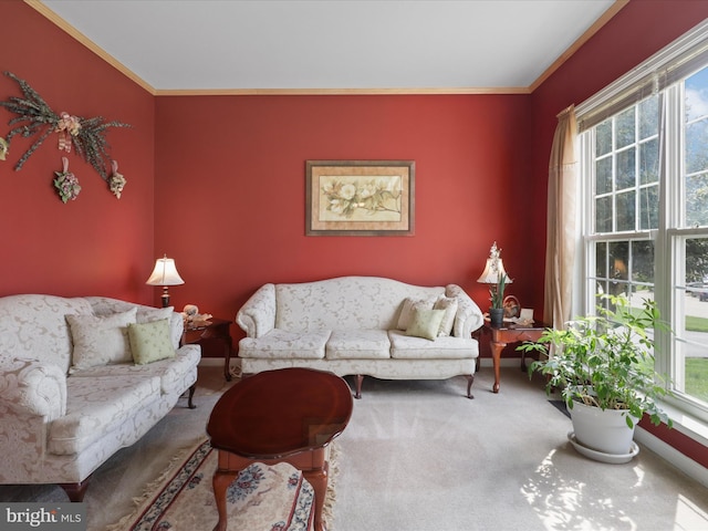 living area featuring crown molding, plenty of natural light, and carpet floors