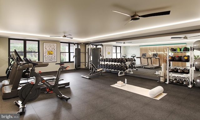 exercise room with ceiling fan and a wealth of natural light