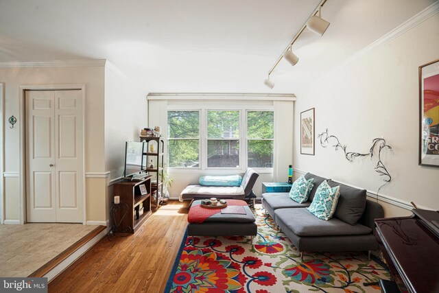 living room featuring wood finished floors, rail lighting, and ornamental molding