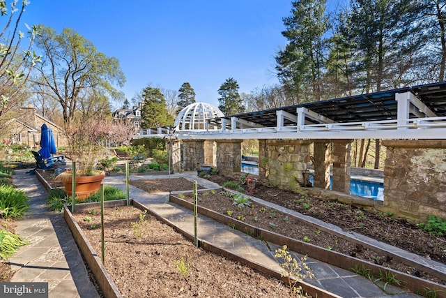view of yard featuring a garden