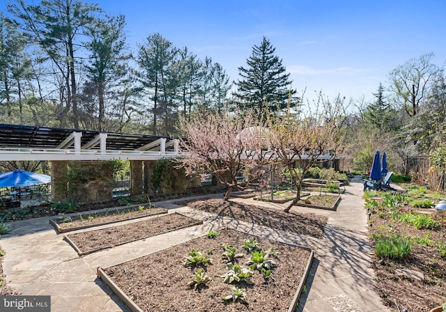 view of yard featuring a vegetable garden