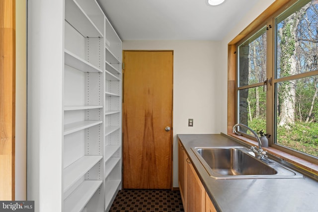 kitchen with stainless steel countertops, a sink, and plenty of natural light