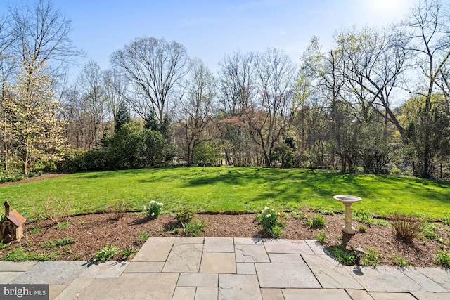 view of yard featuring a patio