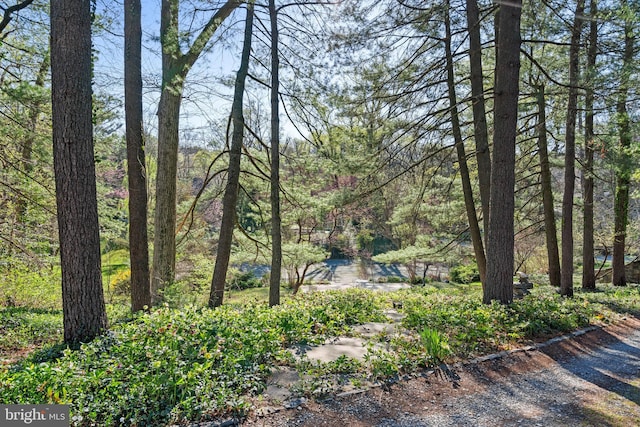 view of yard featuring a wooded view