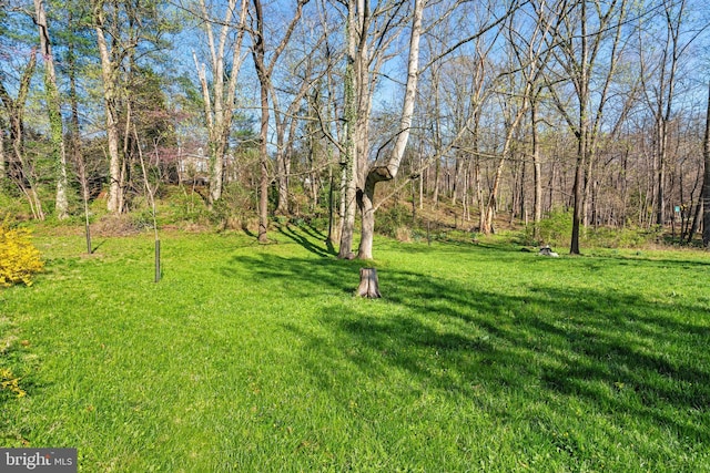 view of yard featuring a forest view